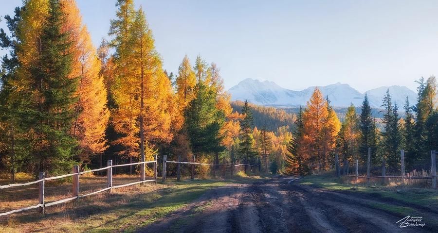 Автобус| К жемчужине Алтая: путешествие к Телецкому озеру