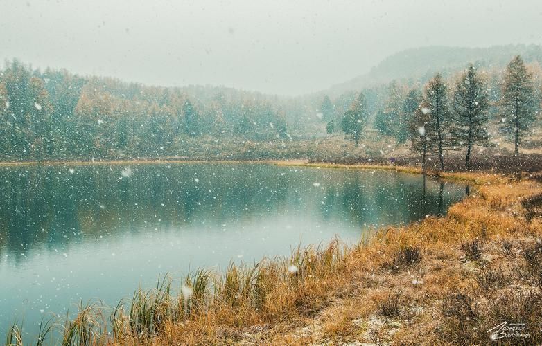 Лыжня мечты: в сердце Грузии