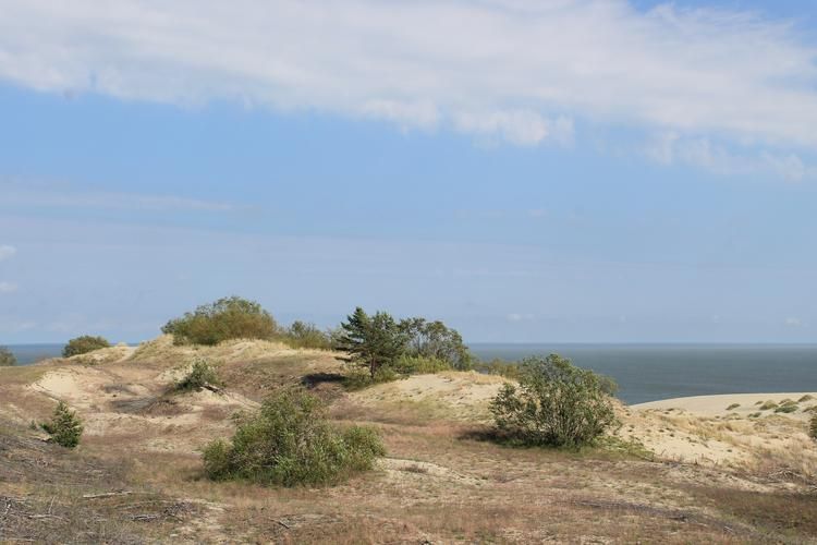 Каникулы в Янтарном крае