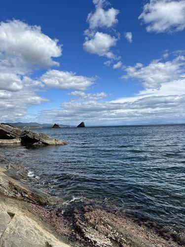 Автобус | Карнавал в Геленджике (промо)