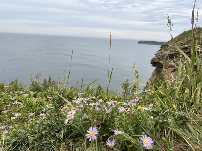 Вдохновение Приморья: четыре истории в пяти днях