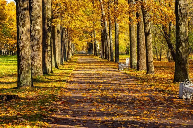 Дворцы и парки