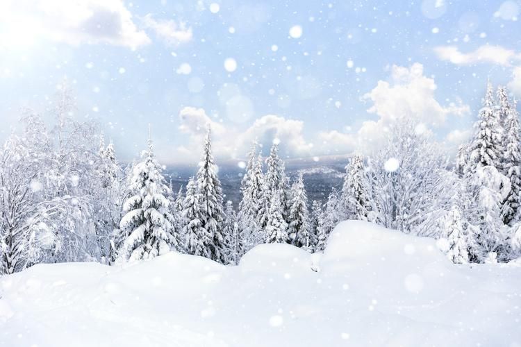 Автобус| Новогодний Кавказ: в гостях у природы, истории и гостеприимства из Ижевска