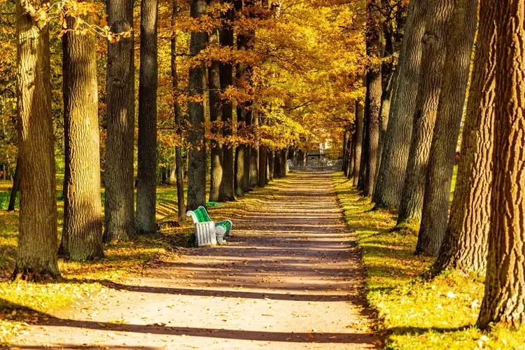 От Шагала до Репина