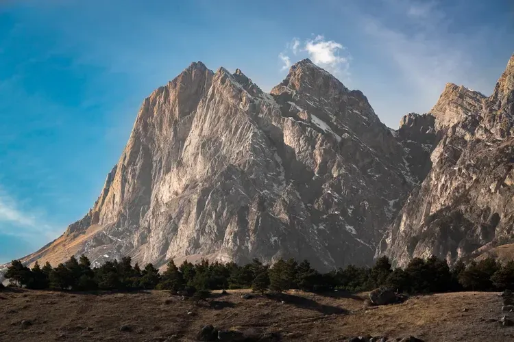 Цветение маральника.