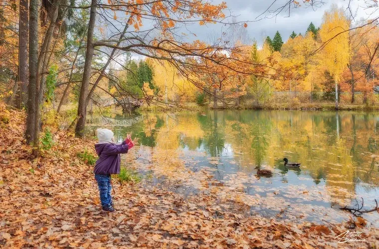 Автобус| Путь, где время останавливается у реки