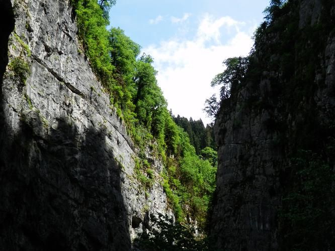 Где каждый лепесток — капля света