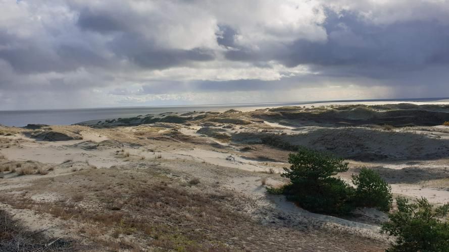 Февраль у моря — где тишина солёная, а каждый ветер — письмо зимы