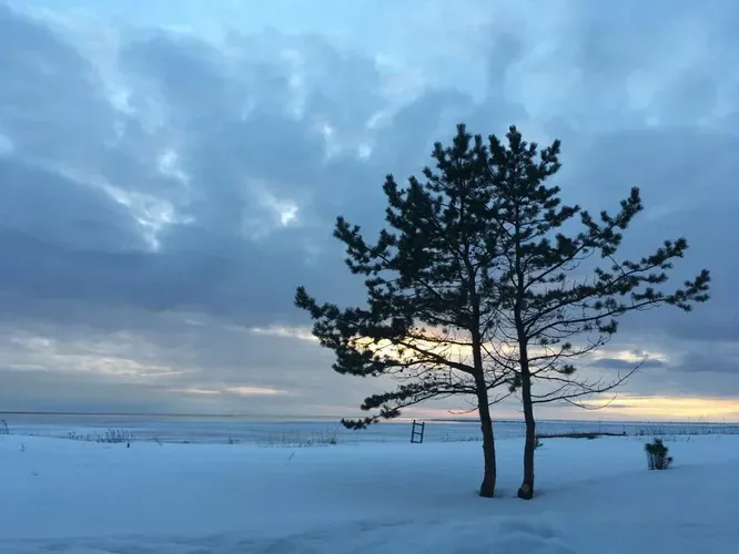 ЗОЛОТАЯ ОСЕНЬ НА СОЛОВКАХ  ИЗ САНКТ-ПЕТЕРБУРГА (промо)