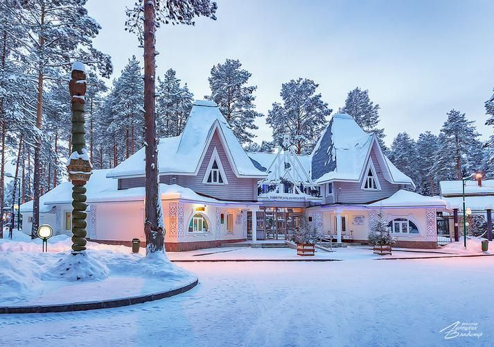 Поезд| Новогодняя сказка в Великом Устюге