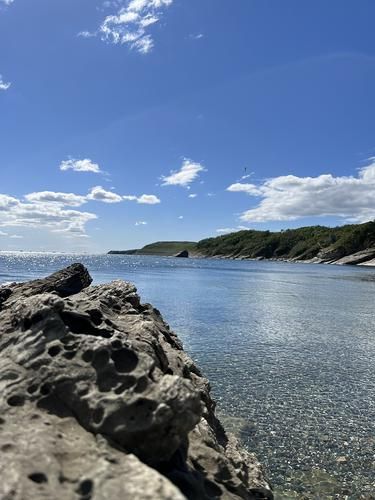 Автобус | Карнавал в Геленджике (промо)