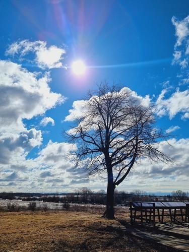 Автобус | Государева дорога. Память в камне