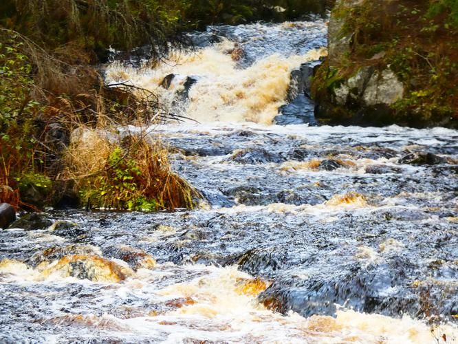 Карелия: где каждый узор на дереве