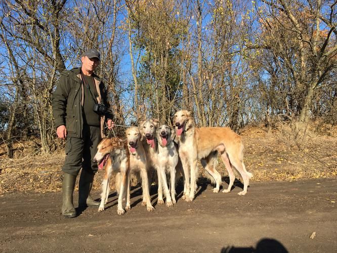 Династия Романовых: сибирские страницы