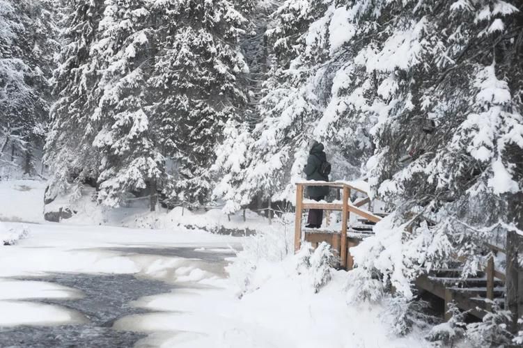 Автобус | Новогоднее путешествие по белорусским замкам и усадьбам из Воронежа