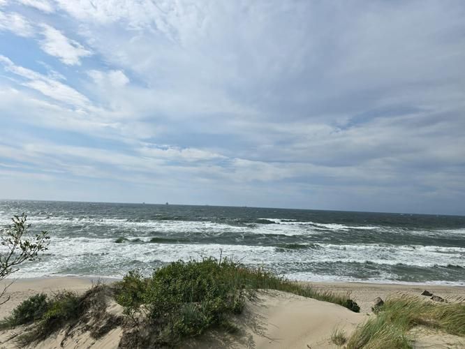 Зимние чудеса Калининграда