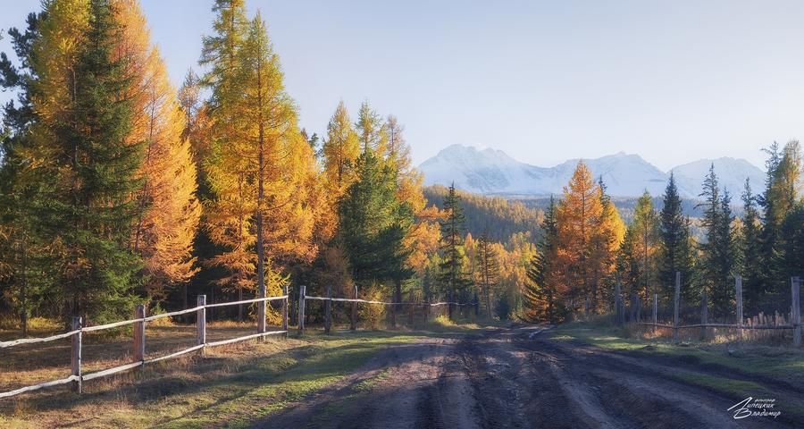 Чуйский тракт: дорога к сердцу Алтая