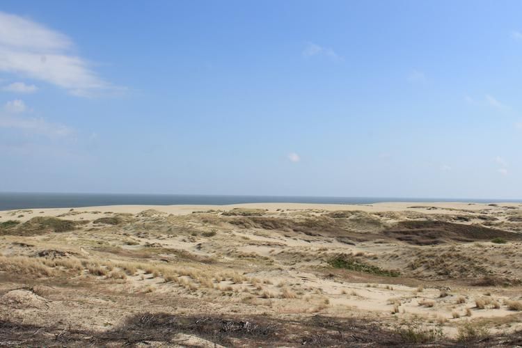 Вкус морского бриза и марципана