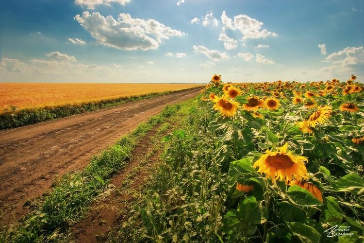 Автобус| Весенний Кавказ