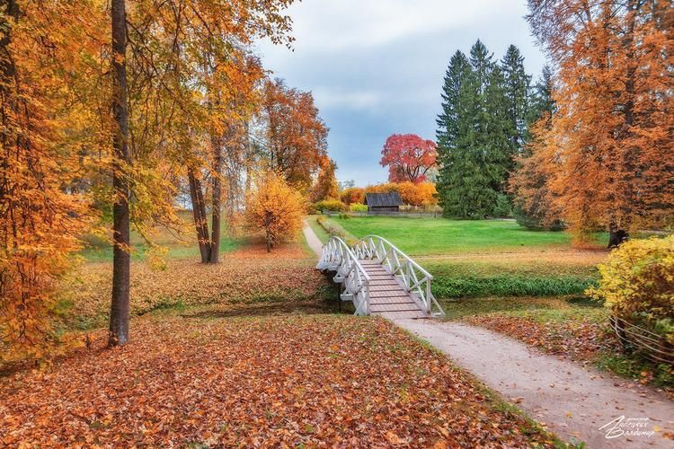 Автобус| Ульяновск: тур в атмосфере традиций и уюта