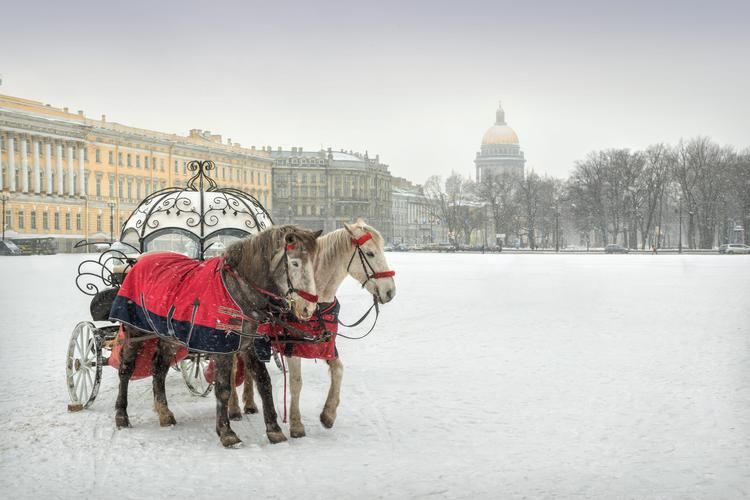 Зима в двух аккордах: Санкт-Петербург и Выборг