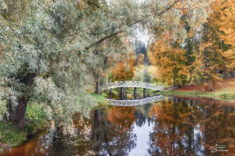 Заповедник 2025